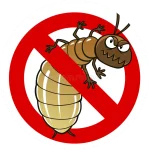 termite_resistant